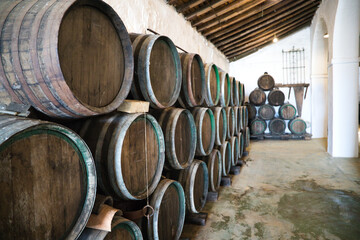 group of wooden barrels from a wine cellar in spain. The barrels are full of wine from the last...