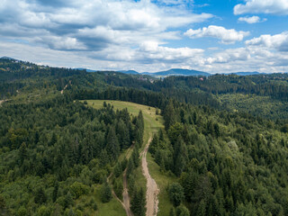 Obraz premium Green mountains of Ukrainian Carpathians in summer. Coniferous trees on the slopes. Aerial drone view.