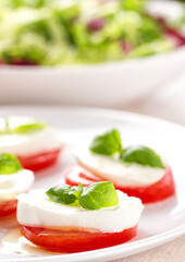 Caprese Salad with tomatoes, basil, mozzarella, olive oil. Mediterranean, organic and natural food concept