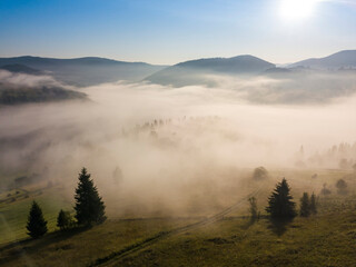 Fir trees on the mountain in the fog. Aerial drone view.