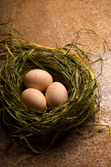 Organic chicken eggs in a straw nest on a metallic background