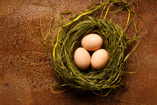 Chicken eggs in the nest on a metallic background