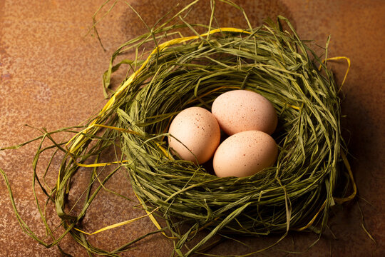 eggs in the nest on a metallic background