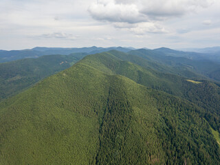 Green mountains of Ukrainian Carpathians in summer. Aerial drone view.