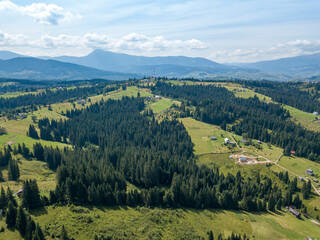 Obraz premium Green mountains of Ukrainian Carpathians in summer. Sunny day, rare clouds. Aerial drone view.