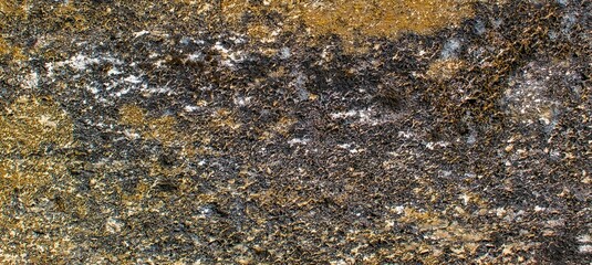 abstract color  rough concrete texture background 