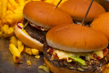 Juicy burgers and fried fries close-up. Ready-made hamburgers with potatoes. Fast food.