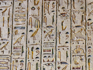 Ancient color egypt images and hieroglyphics