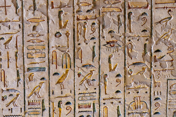 Ancient color egypt images and hieroglyphics
