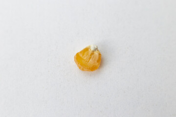 One yellow corn seed shot taken close-up macro on a white background