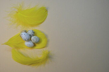 easter eggs on yellow feathers
