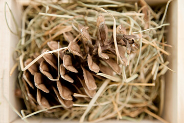 Making Insect Hotel of Natural Materials. Shelter for Bugs, Bees, Wasps, Butterflies. Environment friendly. Ecological pest control. Attracts bees to pollinate your plants. Education for children.