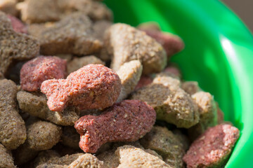 Dry cat food close-up. A balanced pet diet contains protein and vitamins.