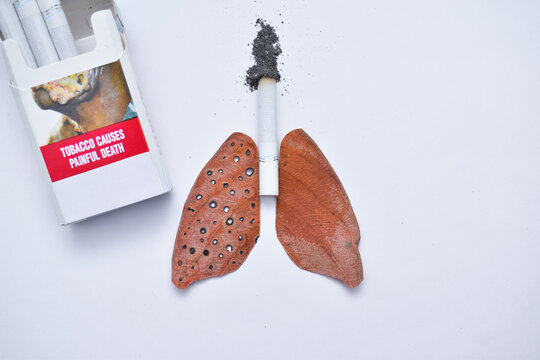 smoking kills, stop smoking, World no tobacco day concept. Lungs shape made of a burnt cigarette butt and dried leaf. lungs of a healthy person and sick. design for banner, advertisers and articles.