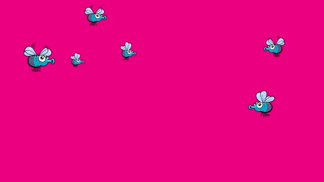 Cartoon flock of flies. Funny insects characters ready for a meal. Put something at the bottom of movie. Seamless loop, alpha channel included.
