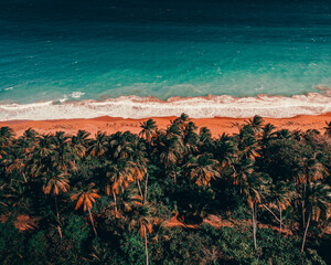 Layers landscape of palms, sand and ocean from a beach in Puerto rico tropical drone picture	