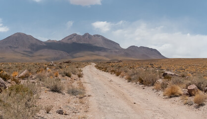 Driving through difficult desert roads in the Atacama desert, among sand dunes, salt lagoons and...