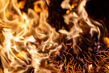 Close up photo of firewood in bonfire