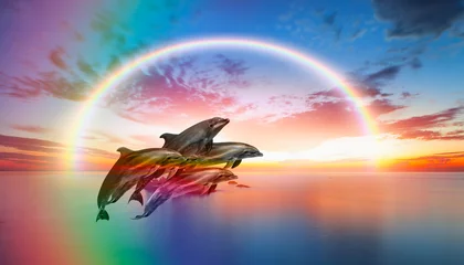 Foto op Canvas Group of dolphins jumping on the sea wave with amazing rainbow at sunset  © muratart