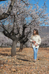 Young woman gardener strolling through the field of almond blossoms in spring