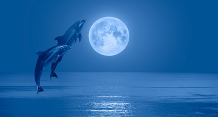 Silhoutte of dolphins jumping up from the sea with blue full moon "Elements of this image furnished by NASA "