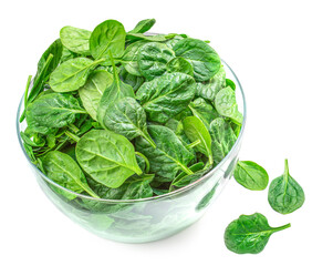 Bowl of Spinach leaves isolated on white background. Fresh Spinach Closeup. View from above.