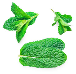 Fresh mint leaves  isolated on white background, top view. Peppermint flat lay. Set