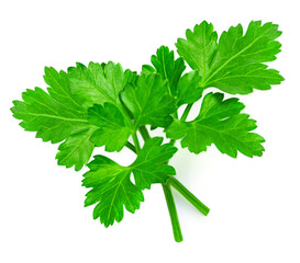 Parsley herb isolated on white background. Parsley leaf top view, flat lay.