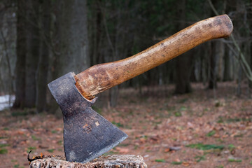 An old axe stuck in a stump against the background of the forest