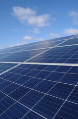 Rows of solar panels - 492592186