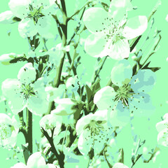 Japanese cherry flowers blossom branches vector seamless pattern. Pink flowers textile, spring cherry blossom fabric, tree branches blossom on green background.