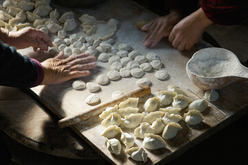 Making traditional dim sum Chinese dumplings. Meat dough pastry and spring onions cuisine. Farm...