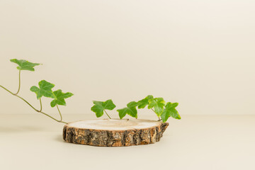 Wooden round podium with ivy plant leaves at the background, display for natural cosmetics, products presentation