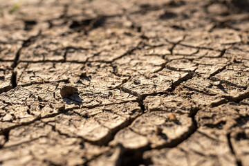 dry earth