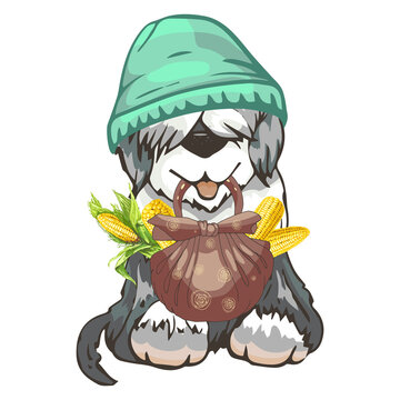 recommend clip art: dog breed commander in a hat with a bag and corn gray dog ​​Commander breed in a green stylish hat with a shopping bag and fresh corn, vector printable image