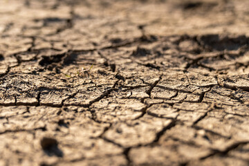 cracked soil background