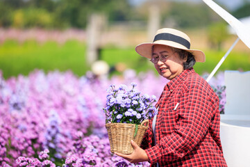 owner senior woman planting flowers in her garden.