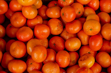 Organically grown tangerines in a greengrocer's shop