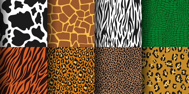 Animal print seamless pattern, tiger, leopard skin background. Cheetah, zebra, giraffe skins, wild jungle animals prints texture vector set. Fashionable repeating fabric for clothes