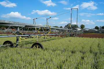 Pflanzenzucht - weite Felder mit Heidekraut, die mit Wasser versorgt werden,welche in Blument&ouml;pfen unter freiem Himmel wachsen.