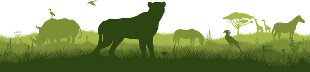 Vector horizontal seamless tropical african savannah with cheetah, zebra, rhinoceros, heron, secretary bird and giraffe