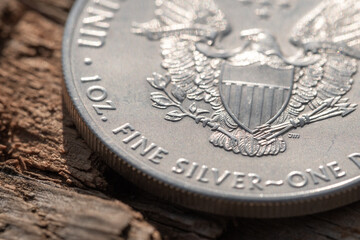 Makro: Silbermünze / Silber-Unze / Edelmetall / Anlagesilber (1 oz American Silver Eagle - Fine Silver) - obrazy, fototapety, plakaty