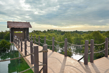 Purple Island full of Mangrove in Thakira. Known as Dakhira