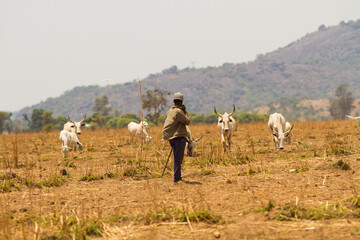 Portrait of Beautiful Nigerian women 