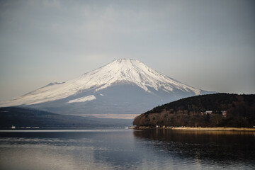 Fototapeta premium 3月の富士山