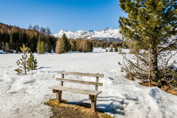 Pontresina, Berninabach, Val Bernina, Dorf, Berninapass, Winter, Wintersport, Wanderweg, Langlauf, Langlaufloipe, Oberengadin, Alpen, Graubünden, Schweiz