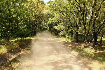 Fototapeta premium Road in green park on summer day