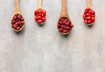 Spoons with rose hip berries on light background