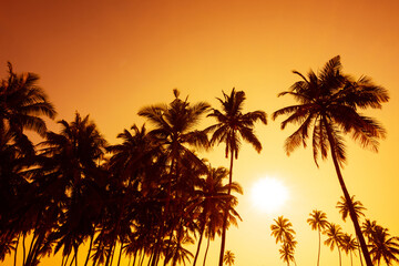 Fototapeta na wymiar Coconut palm trees silhouettes on tropical beach at sunset