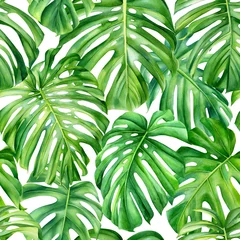 Keuken foto achterwand Tropische bladeren Palmbladeren, monster. Aquarel naadloze patroon. Tropische illustratie
